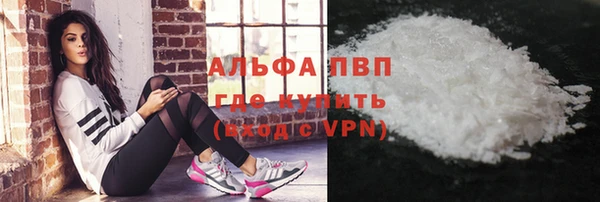 стаф Волоколамск