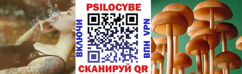 Галлюциногенные грибы Psilocybe  как найти закладки  Енисейск 